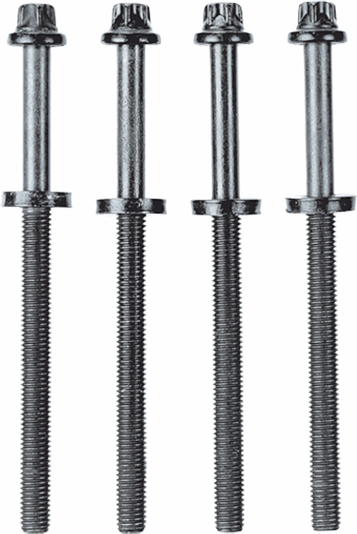 Set Di Bulloni A Testa Cilindrica Reinz 14-32321-01 - Filettatura M12, Lunghezza 220 Mm, Per Ricambi Auto